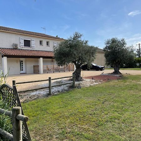 Studio 40M2 Avec Terrasse Le Mas De Lauriane Saintes-Maries-de-la-Mer Exteriör bild