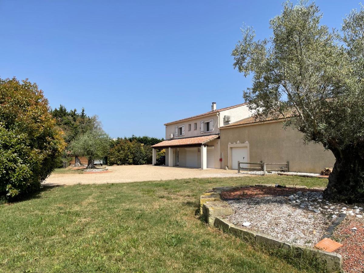 Studio 40M2 Avec Terrasse Le Mas De Lauriane Saintes-Maries-de-la-Mer Exteriör bild