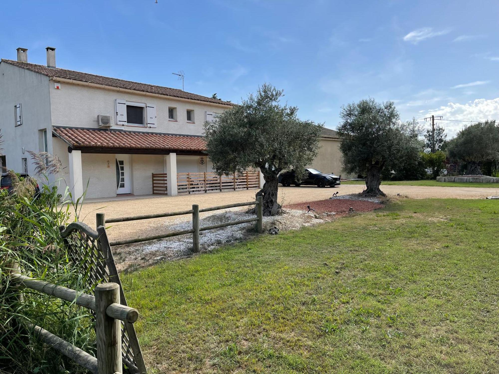 Studio 40M2 Avec Terrasse Le Mas De Lauriane Saintes-Maries-de-la-Mer Exteriör bild