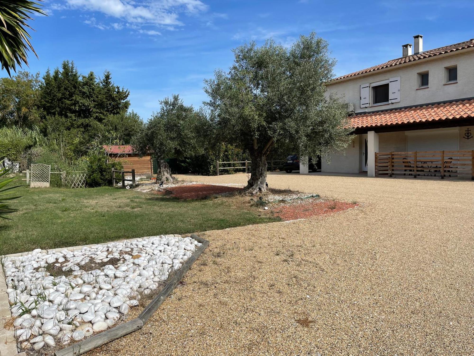 Studio 40M2 Avec Terrasse Le Mas De Lauriane Saintes-Maries-de-la-Mer Exteriör bild