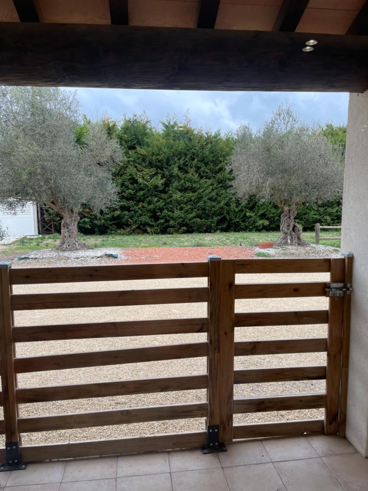 Studio 40M2 Avec Terrasse Le Mas De Lauriane Saintes-Maries-de-la-Mer Exteriör bild